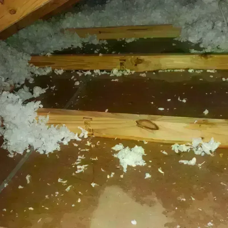 Attic Water Damage in Dodgeville, WI